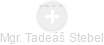 Tadeáš Stebel - Vizualizace  propojení osoby a firem v obchodním rejstříku