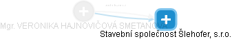  Hajnovičová V. - Vizualizace  propojení osoby a firem v obchodním rejstříku