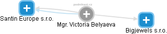  Victoria B. - Vizualizace  propojení osoby a firem v obchodním rejstříku