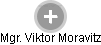 Viktor Moravitz - Vizualizace  propojení osoby a firem v obchodním rejstříku