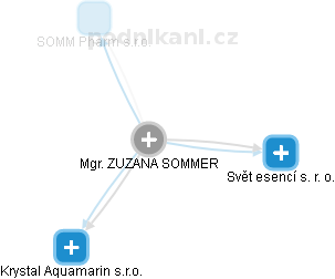  Sommer Z. - Vizualizace  propojení osoby a firem v obchodním rejstříku