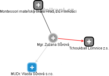 Zuzana Sůvová - Vizualizace  propojení osoby a firem v obchodním rejstříku