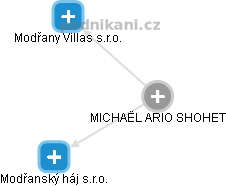  Michaël S. - Vizualizace  propojení osoby a firem v obchodním rejstříku