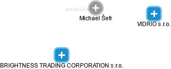Michael Šefr - Vizualizace  propojení osoby a firem v obchodním rejstříku