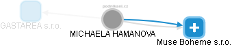 MICHAELA HAMANOVA - Vizualizace  propojení osoby a firem v obchodním rejstříku