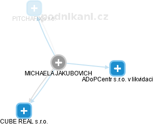 MICHAELA JAKUBOVICH - Vizualizace  propojení osoby a firem v obchodním rejstříku