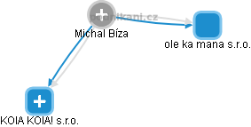  Michal Bíza - Vizualizace  propojení osoby a firem v obchodním rejstříku