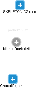 Michal Bockstefl - Vizualizace  propojení osoby a firem v obchodním rejstříku