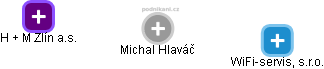  Michal H. - Vizualizace  propojení osoby a firem v obchodním rejstříku