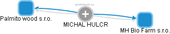 MICHAL HULCR - Vizualizace  propojení osoby a firem v obchodním rejstříku