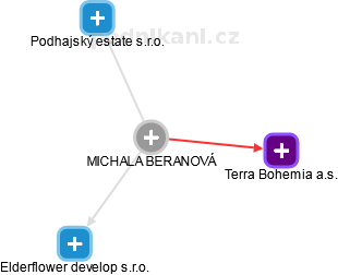 MICHALA BERANOVÁ - Vizualizace  propojení osoby a firem v obchodním rejstříku