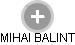 MIHAI BALINT - Vizualizace  propojení osoby a firem v obchodním rejstříku