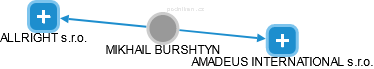 MIKHAIL BURSHTYN - Vizualizace  propojení osoby a firem v obchodním rejstříku