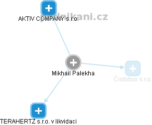 Mikhail Palekha - Vizualizace  propojení osoby a firem v obchodním rejstříku