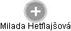 Milada Hetflajšová - Vizualizace  propojení osoby a firem v obchodním rejstříku