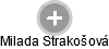 Milada Strakošová - Vizualizace  propojení osoby a firem v obchodním rejstříku