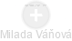 Milada Váňová - Vizualizace  propojení osoby a firem v obchodním rejstříku