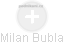 Milan Bubla - Vizualizace  propojení osoby a firem v obchodním rejstříku