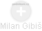 Milan Gibiš - Vizualizace  propojení osoby a firem v obchodním rejstříku