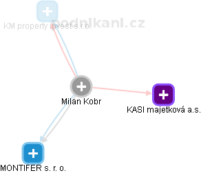 Milan Kobr - Vizualizace  propojení osoby a firem v obchodním rejstříku