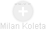 Milan Koleta - Vizualizace  propojení osoby a firem v obchodním rejstříku