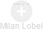 Milan Lobel - Vizualizace  propojení osoby a firem v obchodním rejstříku
