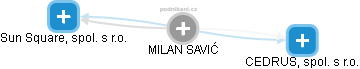 MILAN SAVIĆ - Vizualizace  propojení osoby a firem v obchodním rejstříku