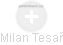 Milan Tesař - Vizualizace  propojení osoby a firem v obchodním rejstříku