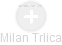 Milan Trlica - Vizualizace  propojení osoby a firem v obchodním rejstříku