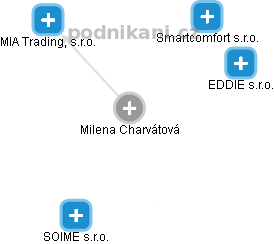 Milena Charvátová - Vizualizace  propojení osoby a firem v obchodním rejstříku