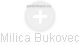 Milica Bukovec - Vizualizace  propojení osoby a firem v obchodním rejstříku
