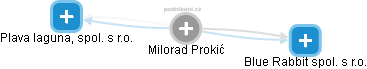 Milorad Prokić - Vizualizace  propojení osoby a firem v obchodním rejstříku