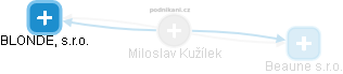 Miloslav Kužílek - Vizualizace  propojení osoby a firem v obchodním rejstříku