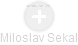 Miloslav Sekal - Vizualizace  propojení osoby a firem v obchodním rejstříku