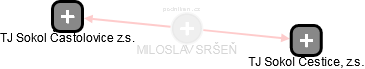 MILOSLAV SRŠEŇ - Vizualizace  propojení osoby a firem v obchodním rejstříku