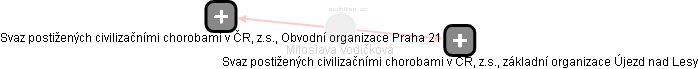 Miloslava Vodičková - Vizualizace  propojení osoby a firem v obchodním rejstříku
