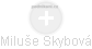 Miluše Skybová - Vizualizace  propojení osoby a firem v obchodním rejstříku