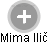 Mima Ilič - Vizualizace  propojení osoby a firem v obchodním rejstříku