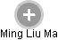 Ming Liu Ma - Vizualizace  propojení osoby a firem v obchodním rejstříku