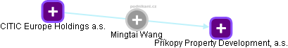  Mingtai W. - Vizualizace  propojení osoby a firem v obchodním rejstříku