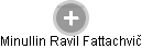 Minullin Ravil Fattachvič - Vizualizace  propojení osoby a firem v obchodním rejstříku