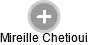 Mireille Chetioui - Vizualizace  propojení osoby a firem v obchodním rejstříku