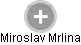  Miroslav Mrlina - Vizualizace  propojení osoby a firem v obchodním rejstříku