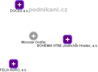  Miroslav O. - Vizualizace  propojení osoby a firem v obchodním rejstříku