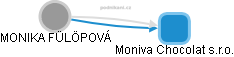 MONIKA FÜLÖPOVÁ - Vizualizace  propojení osoby a firem v obchodním rejstříku