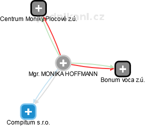 MONIKA HOFFMANN - Vizualizace  propojení osoby a firem v obchodním rejstříku