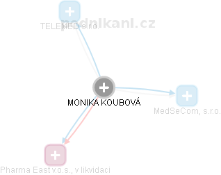 MONIKA KOUBOVÁ - Vizualizace  propojení osoby a firem v obchodním rejstříku