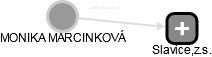 MONIKA MARCINKOVÁ - Vizualizace  propojení osoby a firem v obchodním rejstříku
