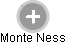 Monte Ness - Vizualizace  propojení osoby a firem v obchodním rejstříku