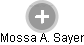 Mossa A. Sayer - Vizualizace  propojení osoby a firem v obchodním rejstříku